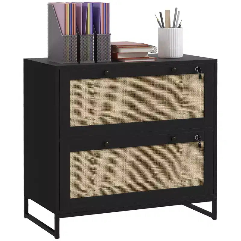  2 Drawer File Cabinet with Lock, Vertical Filing Cabinet with Keys and Adjustable Hanging Bar for Letter, A4 and Legal Size
